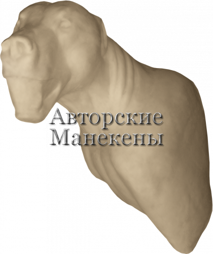 Манекен медведь бурый МДВТ-3 Л