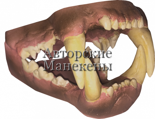 Челюсти леопард