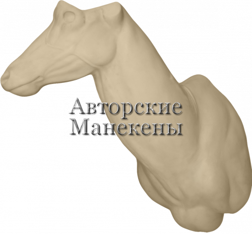Манекен роан (лошадиная антилопа) РОАТ-1 П