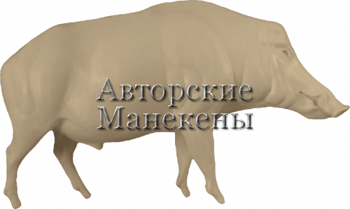 Манекен кабан КБНМ-4 П