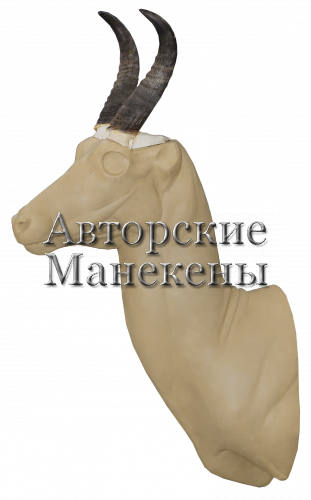 Манекен ридбок Бохор РИБТ-1