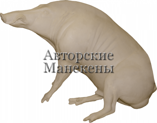 Манекен кабан КБНМ-6 Л