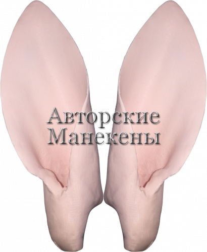 Уши олень северный