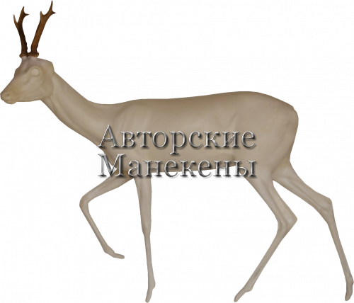 Манекен косуля европейская КСЕМ-3 Л
