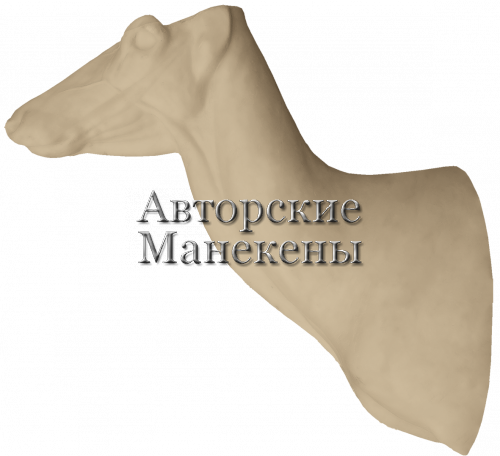 Манекен олень благородный ОЛБТ-5