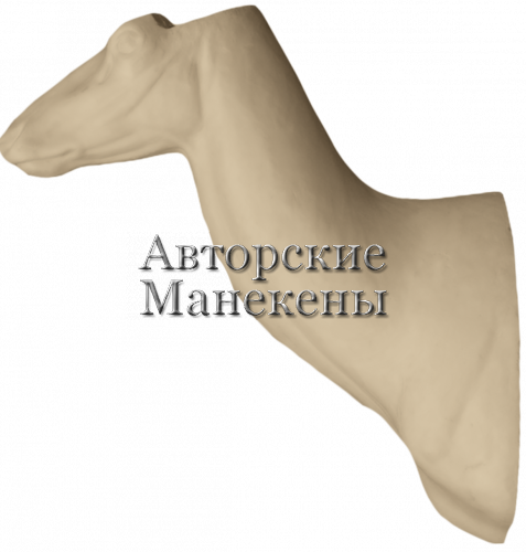Манекен олень благородный ОЛБТ-2