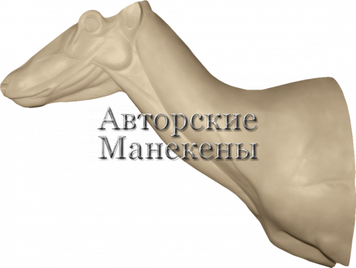Манекен олень благородный ОЛБТ-8