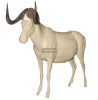 Манекен гну черный (белохвостый) ГНБМ-1 Л